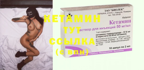 крисы Богородицк