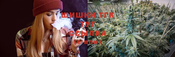 крисы Богородицк