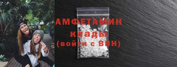 крисы Богородицк
